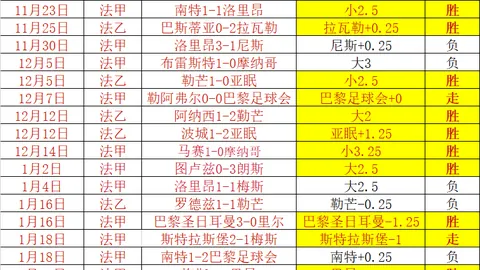 斯维托丽娜击败库德梅托娃，重返澳网八强席位六年后再创辉煌